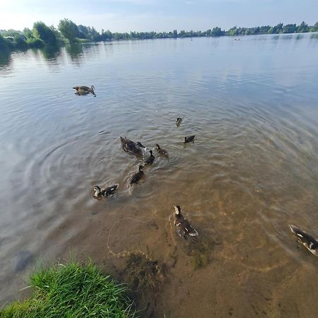 Ferienhaus Am See-2 Hungen Eksteriør billede