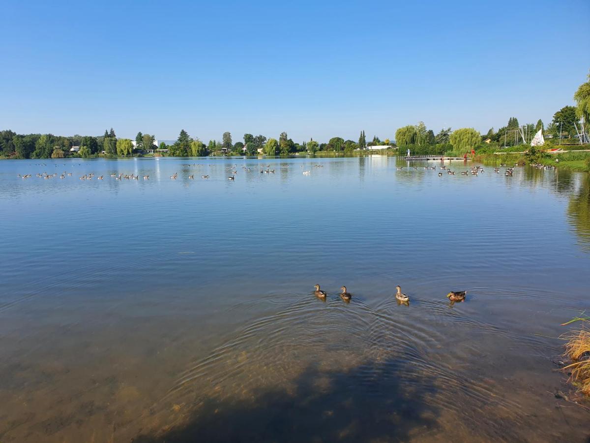 Ferienhaus Am See-2 Hungen Eksteriør billede