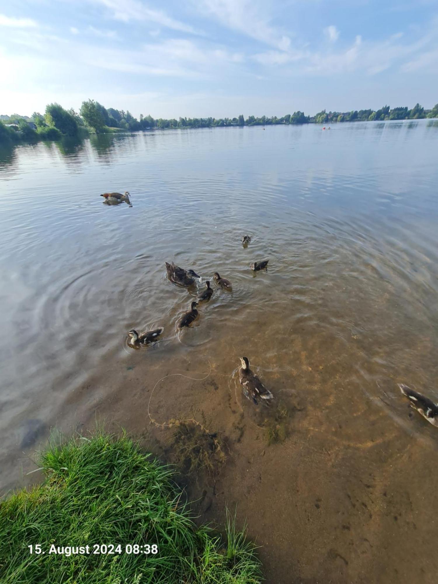 Ferienhaus Am See-2 Hungen Eksteriør billede